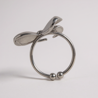 Schmuck - Ring