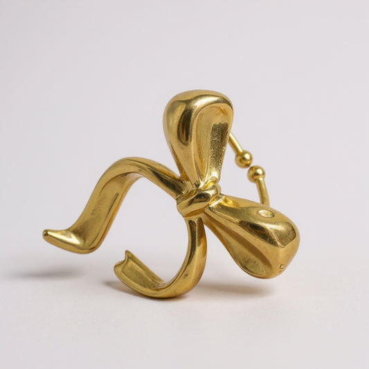 Schmuck - Ring