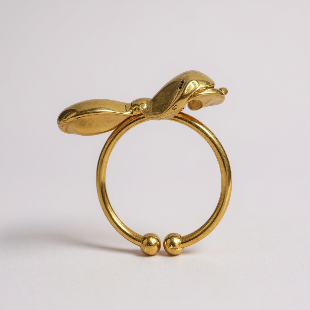 Schmuck - Ring