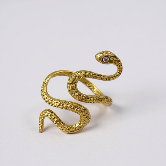 Schmuck - Ring
